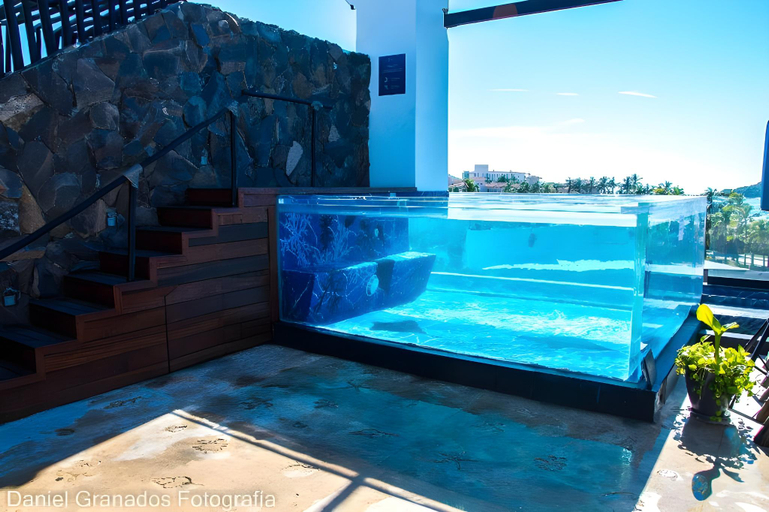 Sport & Beauty 2, The Xperience by g, Mazatlán