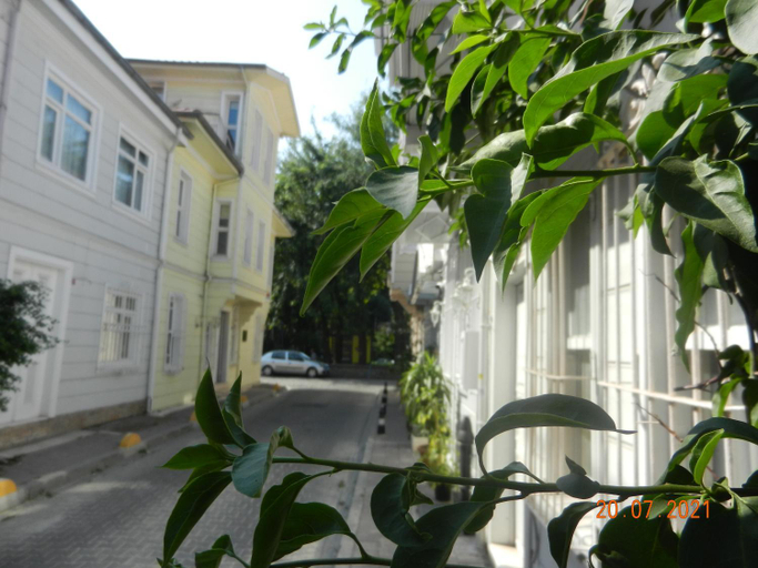 Exterior & Views