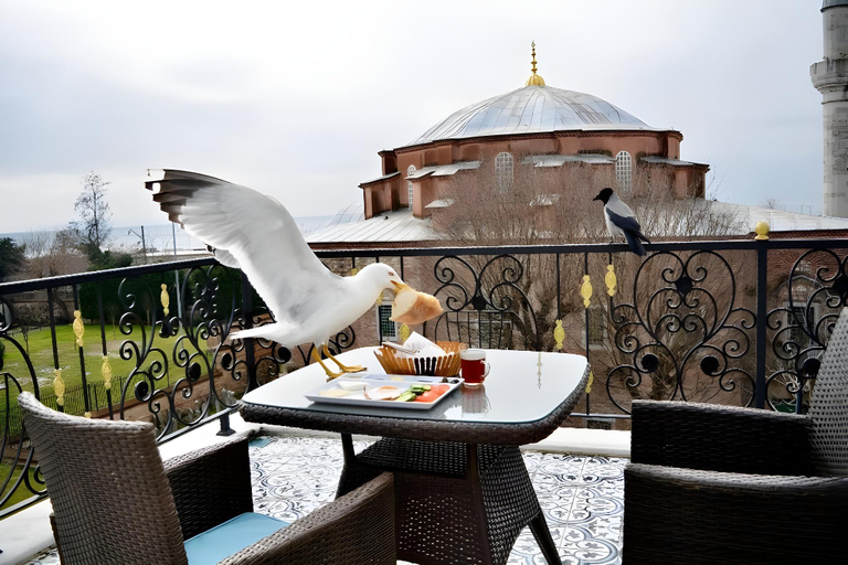 Others 4, LITTLE SOFIA HOTEL, Fatih