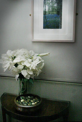 Others 4, TOWNHOUSE ROOMS, Cornwall