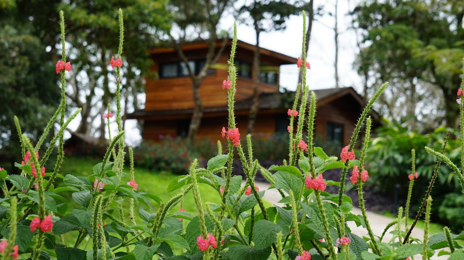 Others 4, Lucero Residences Golf & Wellness Resort, Boquete