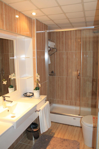 Bathroom 4, Buyuk Sahinler Hotel, Fatih
