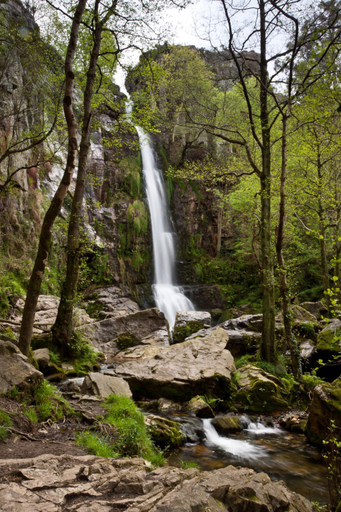 Others 5, Albergue De Oneta, Asturias