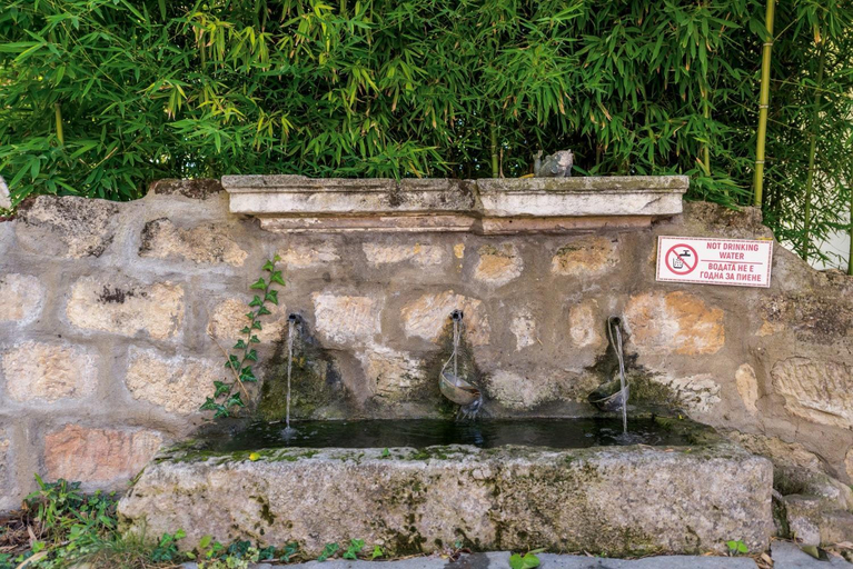 Others 5, Villa Viara, Dolni Chiflik