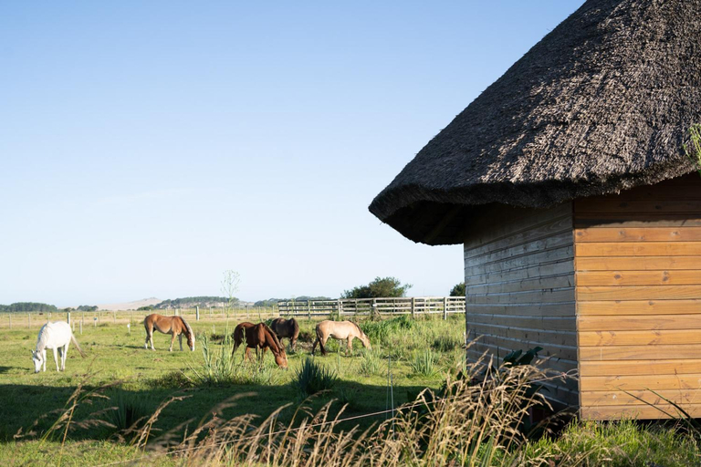 Others 5, Los Chaja Ecolodge, n.a291