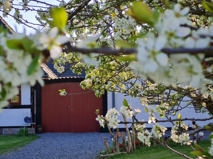Others 2, B&B Bauernhofferien auf Møn, Vordingborg