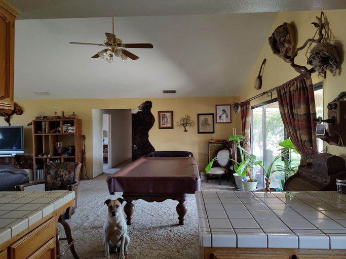 Others 3, The Branded Calf Bed & Breakfast, Fresno