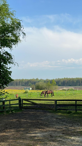 Others 1, B&B Aan de Vaart, Midden-Drenthe