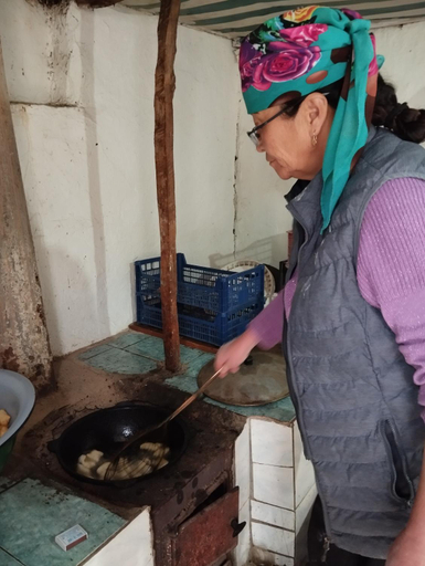 Others 3, Guest house Aruu, Naryn