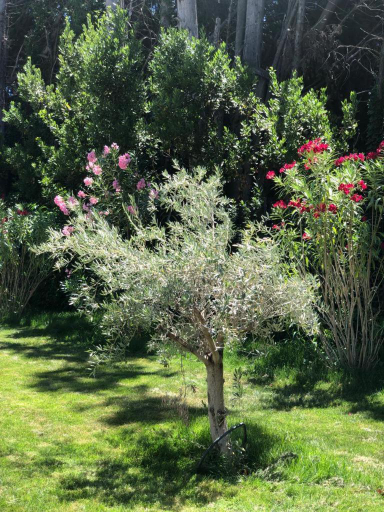 Others 4, Villa Pauline, Vaucluse