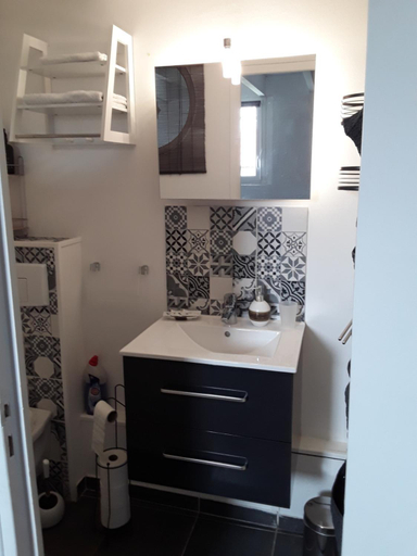 Bathroom 3, Grand studio au milieu des vignes, Aude