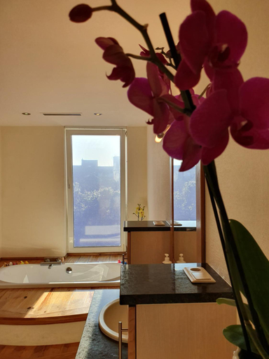 Bathroom 3, Huize La Passion vacationhouse 10 min walk from the sea, West-Vlaanderen