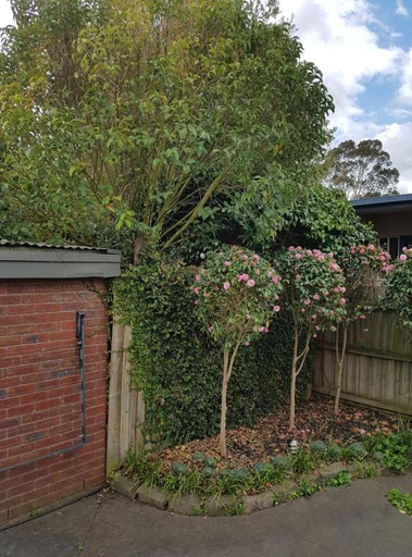 Others 5, Creek Cottage Bed and Breakfast Traralgon, Latrobe - Traralgon