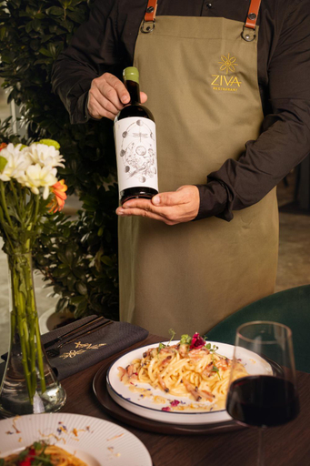 Food & Drinks 3, Electra Aparthotel, Radauti