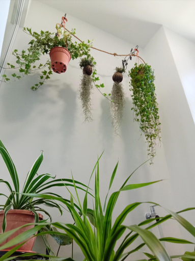 Bathroom 3, Austin @ Novo 8, Malacca City