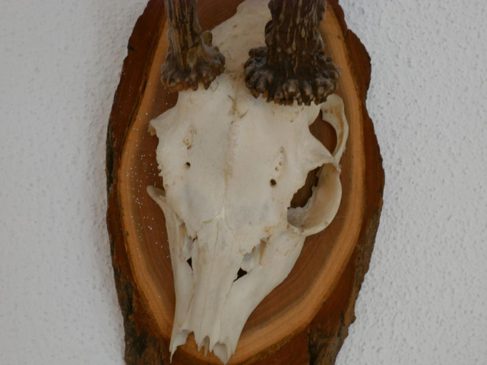 Food & Drinks 5, Ferienwohnungen Knodel, Ludwigsburg