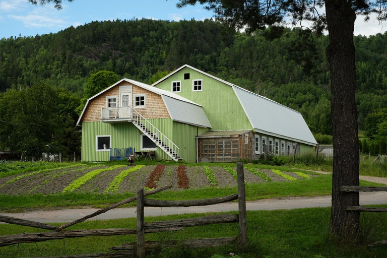 Others 4, Ferme Jardin Potager, Le Fjord-du-Saguenay