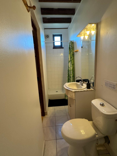 Bathroom 2, La Chaumiere du bout du chemin - 7p - Ch RDC, Orne