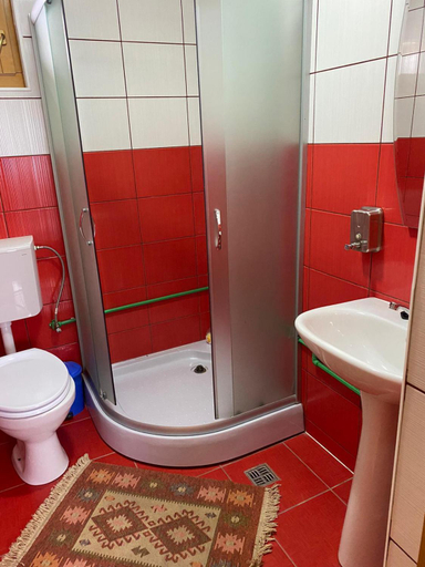 Bathroom 3, Camere de inchiriat Floarea reginei, Viseu De Sus