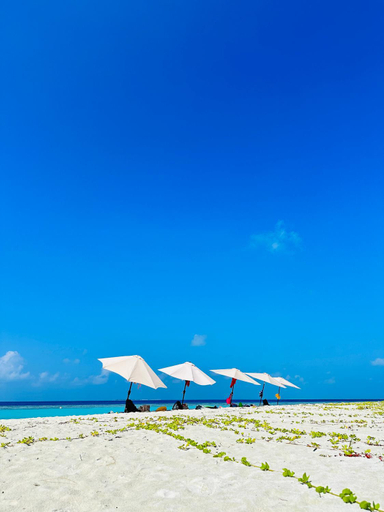 Others 3, Gaafaru B&B, Kaafu Atoll