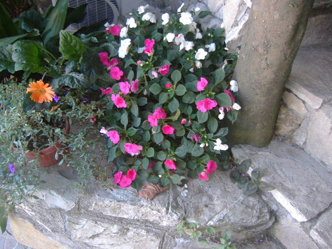 Others 5, B&B Villa Ursa Major, Napoli