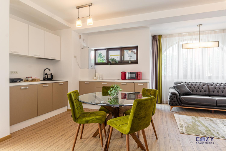 Others 5, Cozy Brand New Boutique ApartHotel Brasov, Brasov