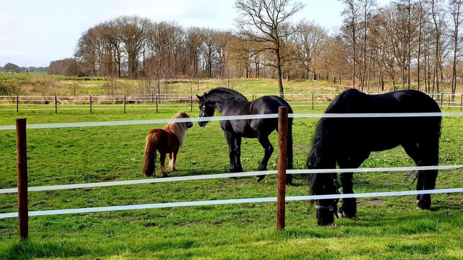 Others 2, B&B Kuiper in Friesland, Smallingerland