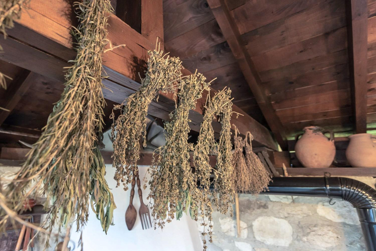 Others 2, Villa Viara, Dolni Chiflik