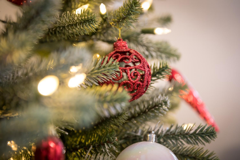 Others 3, My Sweet Homes - Christmas Apartment, Haut-Rhin