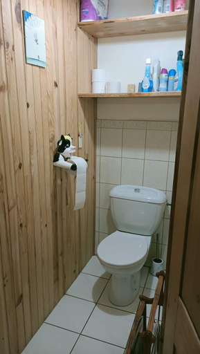 Bathroom 2, La Grand'Raie Chambres et Table d'hotes, Doubs