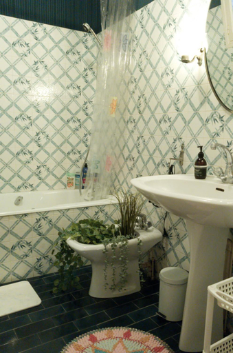 Bathroom 3, Le Studio d'Artiste, Tarn