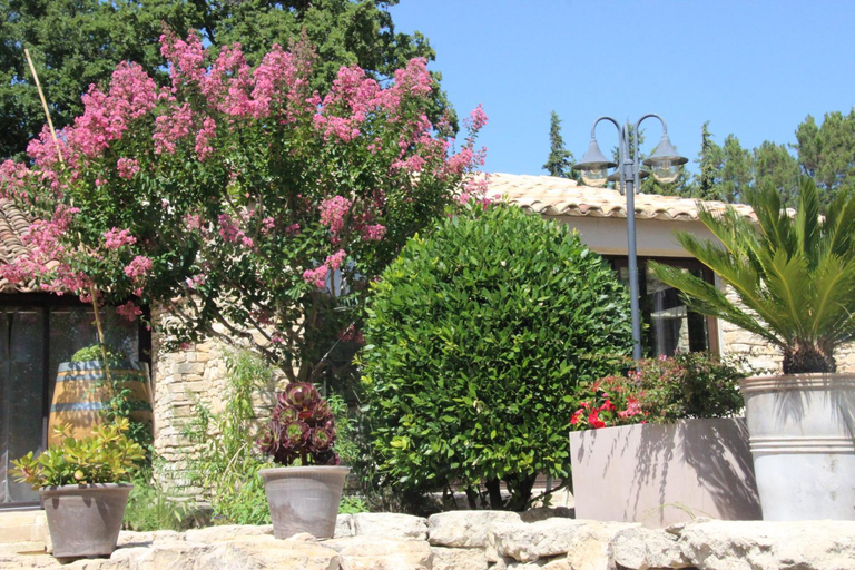 Others 3, Fleur de Lavande, Vaucluse