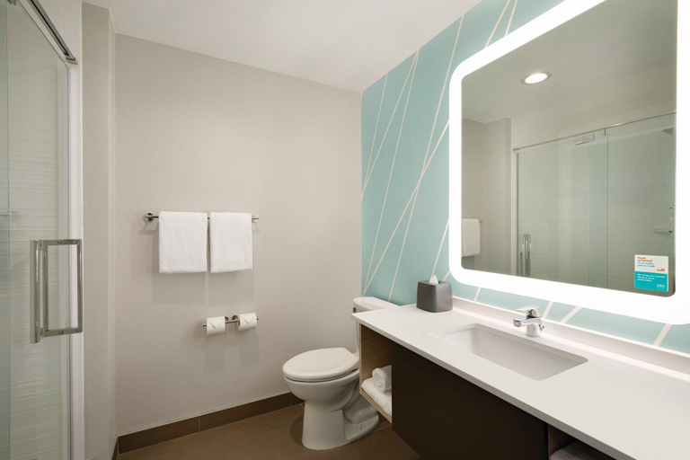 Bathroom 3, Avid Hotels Beaumont By IHG, Jefferson