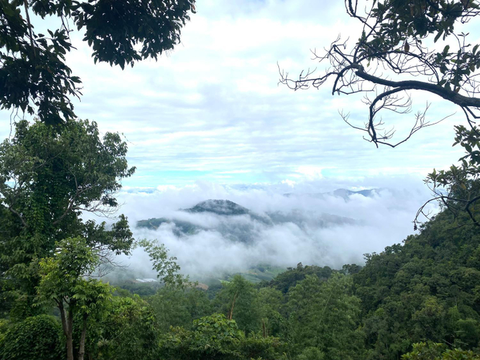 Others 5, One villa coffee farm stay 2, Mae Suai