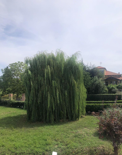 Others 4, Casa dei Giardini B&B, Cuneo