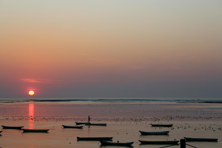 Others 5, T-Land Resort, Rote Ndao