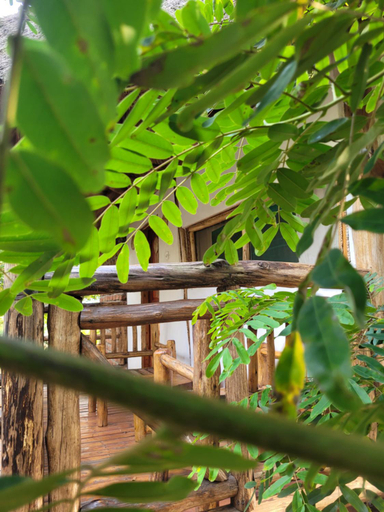 Others 5, Songbird Safari Lodge and Campsite, Bunyaruguru