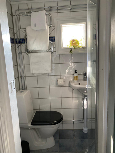 Bathroom 3, B&B Bland ormbunkar och rosor, Falkenberg