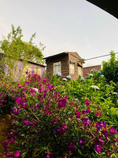 Others 4, Lang Que Farm Stay, Đà Lạt