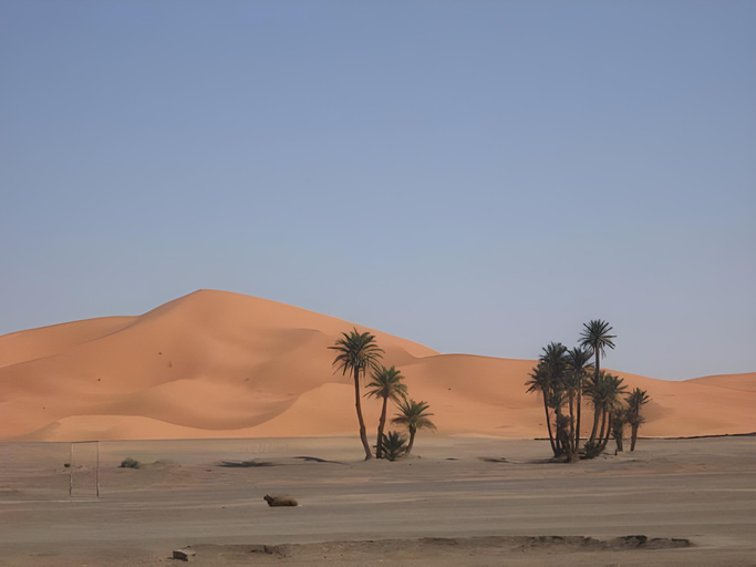 Beach, Maison Merzouga Guest House, Errachidia