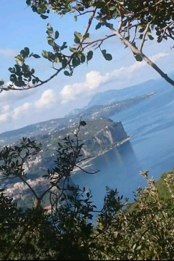 Others 4, La Culla di Minerva, Napoli