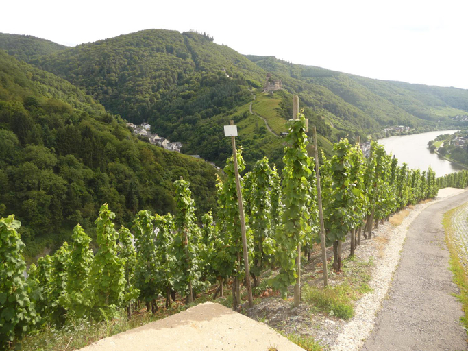 Others 3, Gastehaus Ehses, Bernkastel-Wittlich