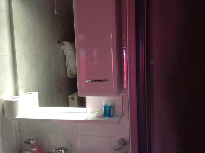 Bathroom 3, Hotel Lefas, Central Greece