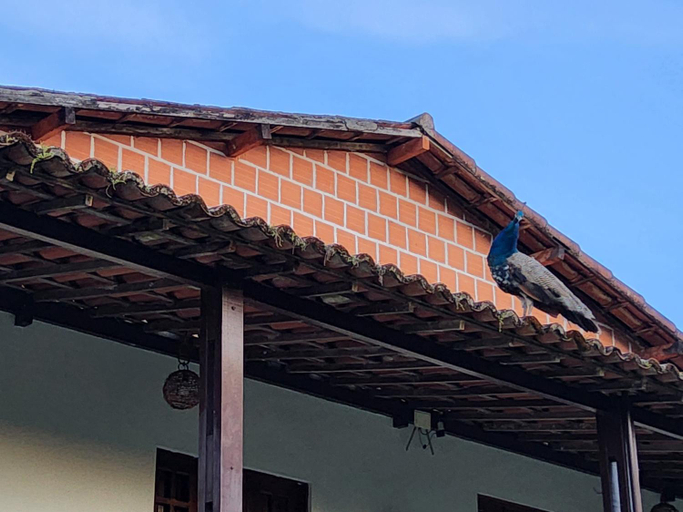 Others 3, Ecoflat no Hotel Pedra Rodeadouro com duas suites, Bonito