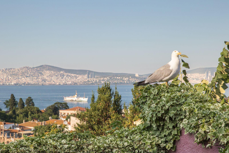 Others 4, L'isola Guesthouse, Adalar