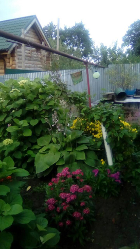 Others 3, Nadezhda, Suzdal'skiy rayon