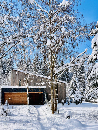 Exterior view 2, La Rau 663A Mountain Chalet - Riverfront & Saltwater Spa, Porumbacu De Jos