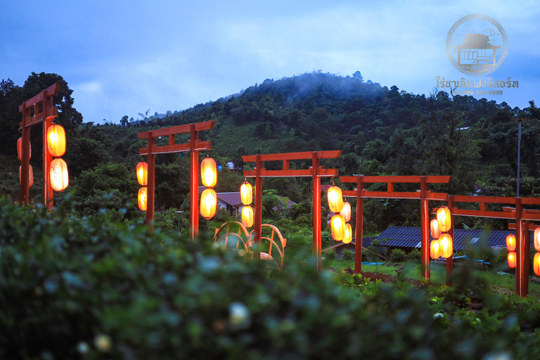 Others 5, Chenfong Rakthai Resort (Rai Cha Chenfong Resort), Muang Mae Hong Son