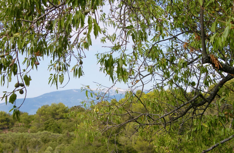 Others 5, Mas de la Gonnette, Vaucluse