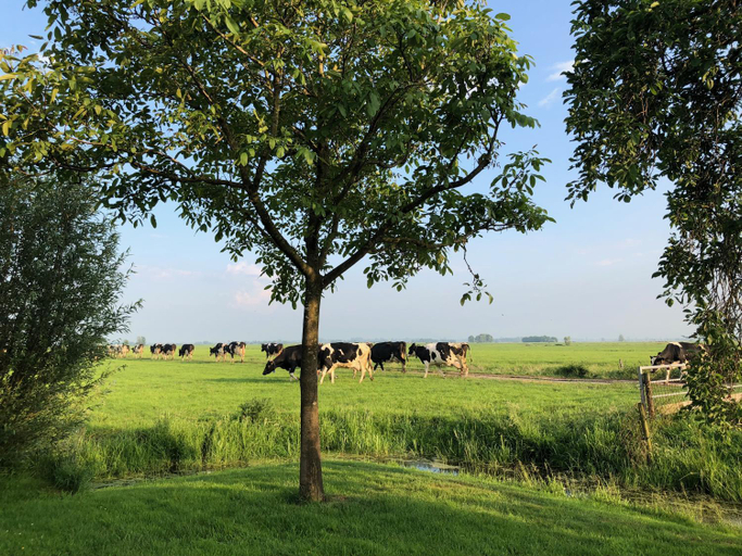Others 5, Slapen op het platteland, Nieuwkoop